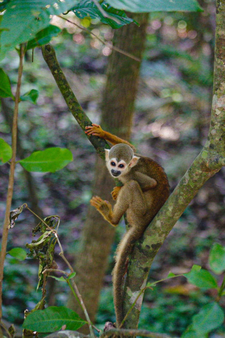 IMG-20250104-WA0023 1