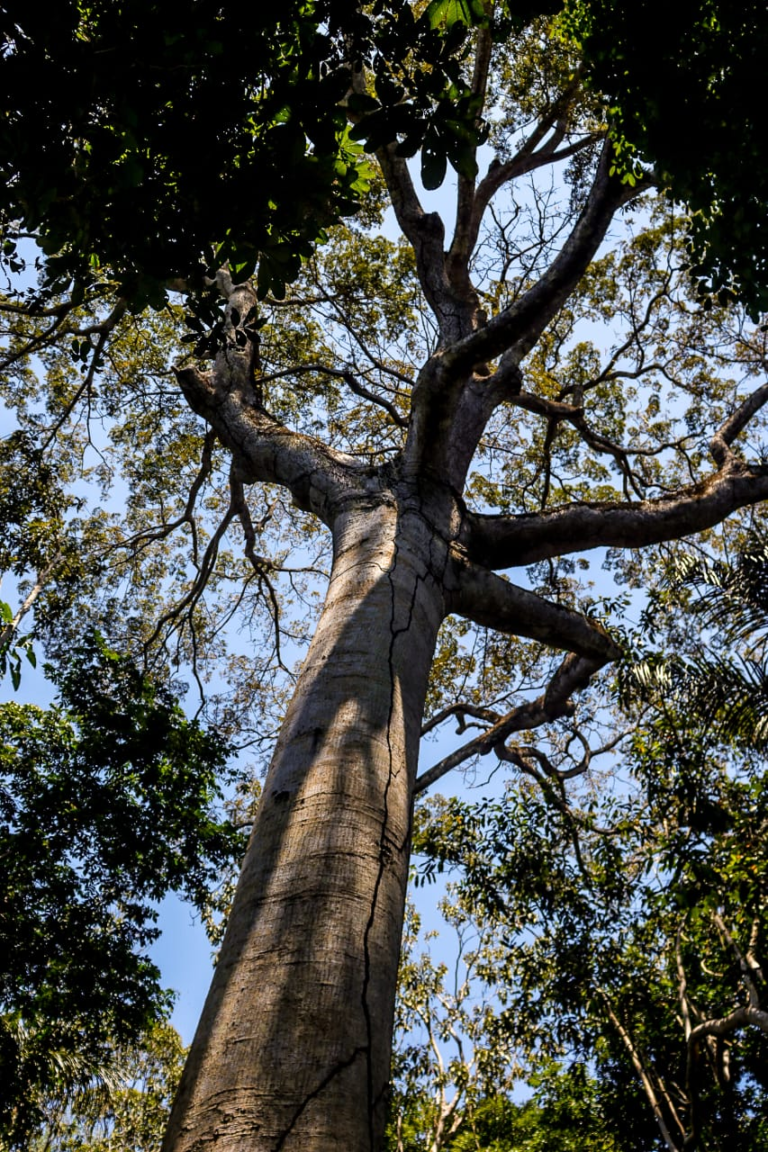 IMG-20250104-WA0026 1