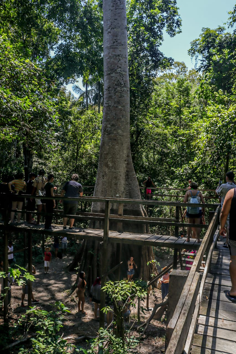 IMG-20250104-WA0027 1