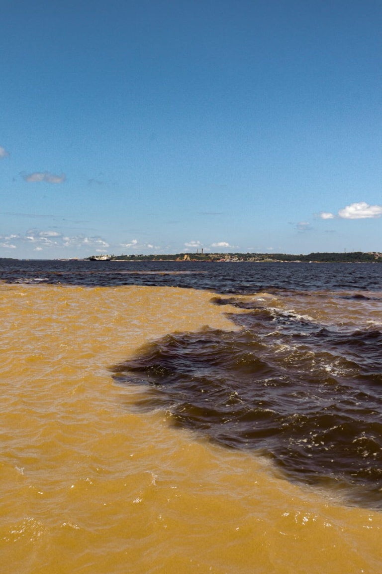 IMG-20250104-WA0031 1