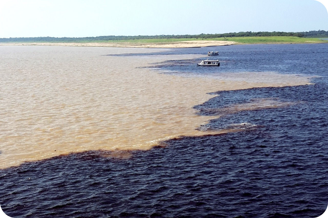 WhatsApp Image 2020-10-23 at 19.10.02 (2)