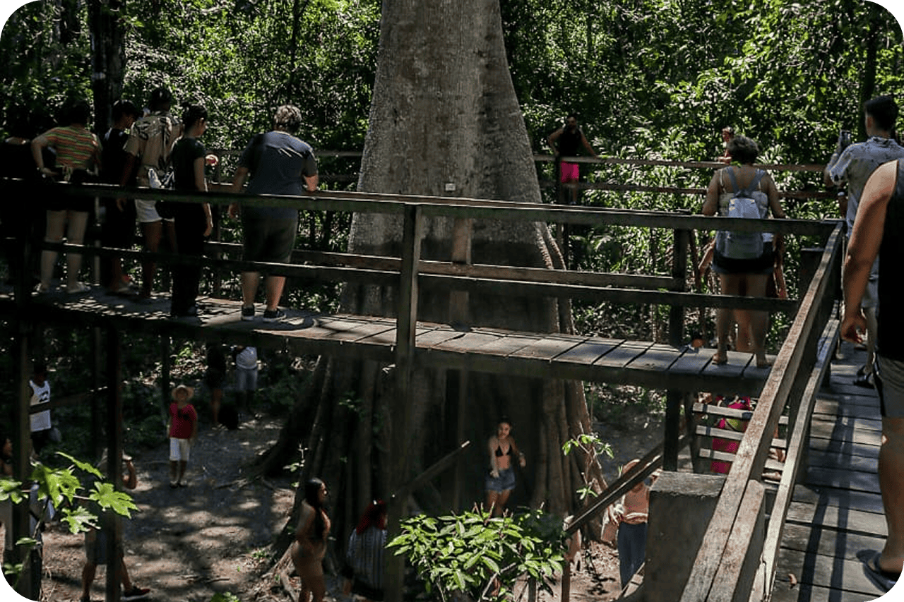 WhatsApp Image 2025-01-04 at 14.31.34