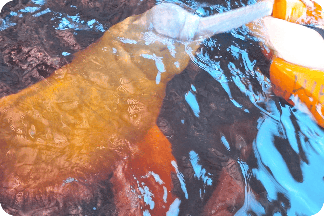 WhatsApp Image 2025-01-04 at 14.37.27